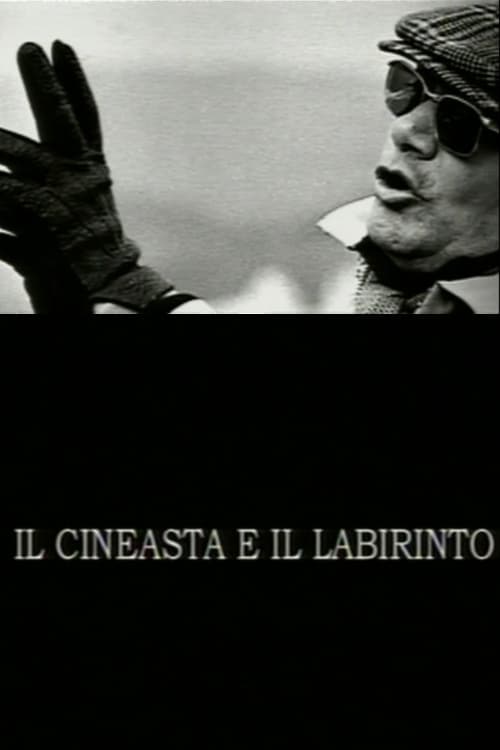 Постер Il cineasta e il labirinto